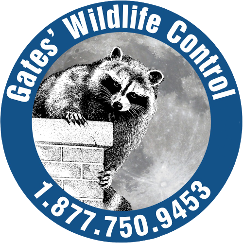 Gates Wildlife Control Logo