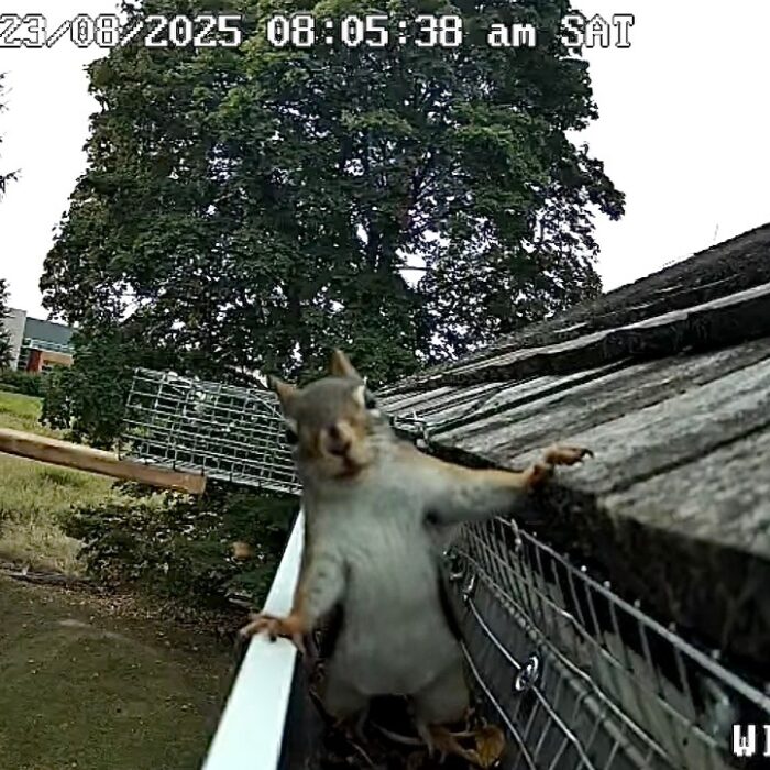 Cellular Camera Monitoring